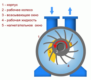 Принцип работы водокольцевого вакуумного насоса